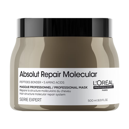 l'oréal professionnel absolut repair molecular masque 500ml